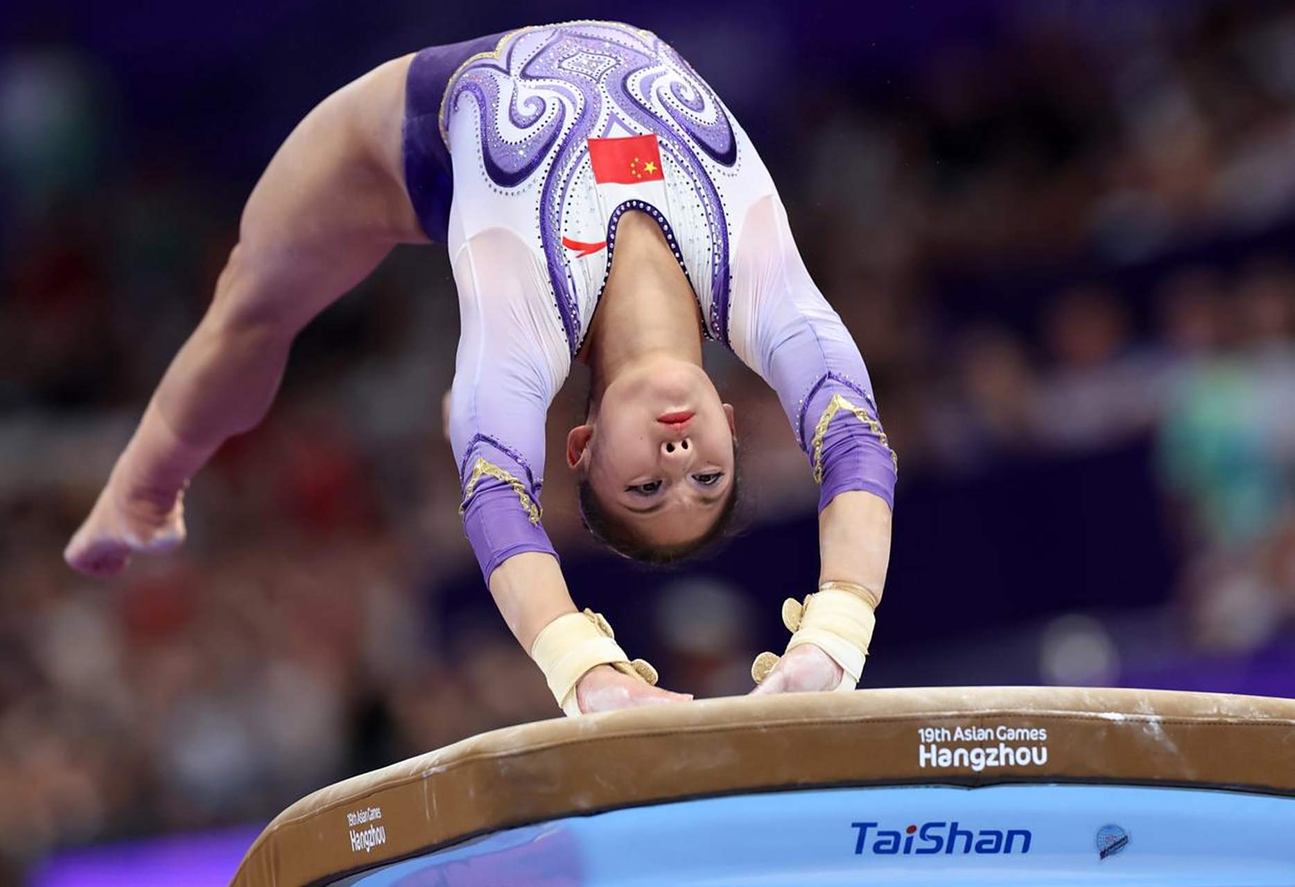 包含体操项目斩获冠军，完美呈现！的词条