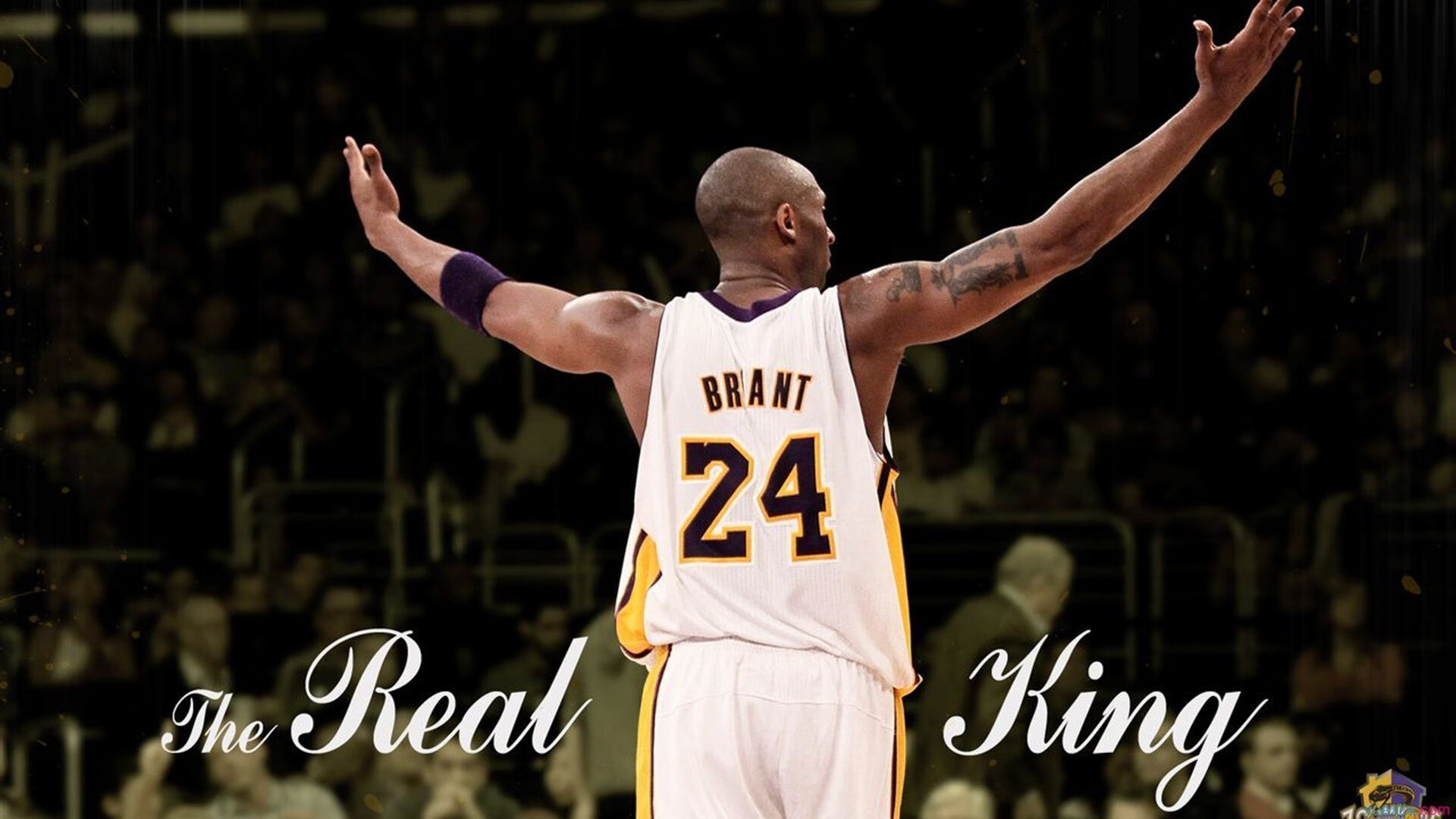 LOL电竞动态-跨越赛场的烈焰，从广厦鏖战到欧冠接管，竞技之魂的唯一性